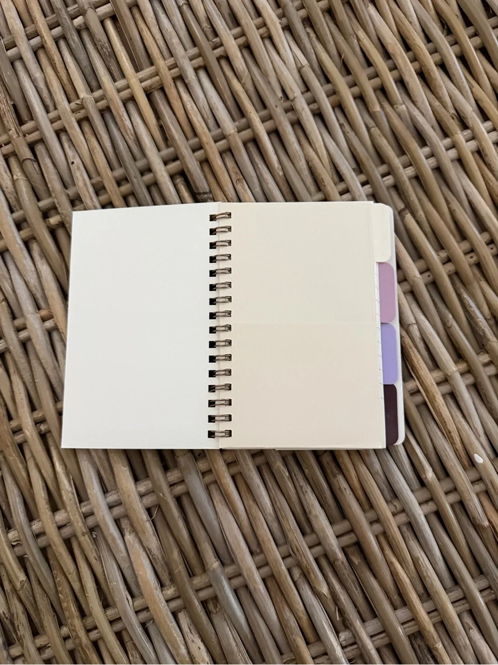 Flying Tiger Copenhagen- 'Wham Bam I Am A Plan Fan' small notebook w dividers